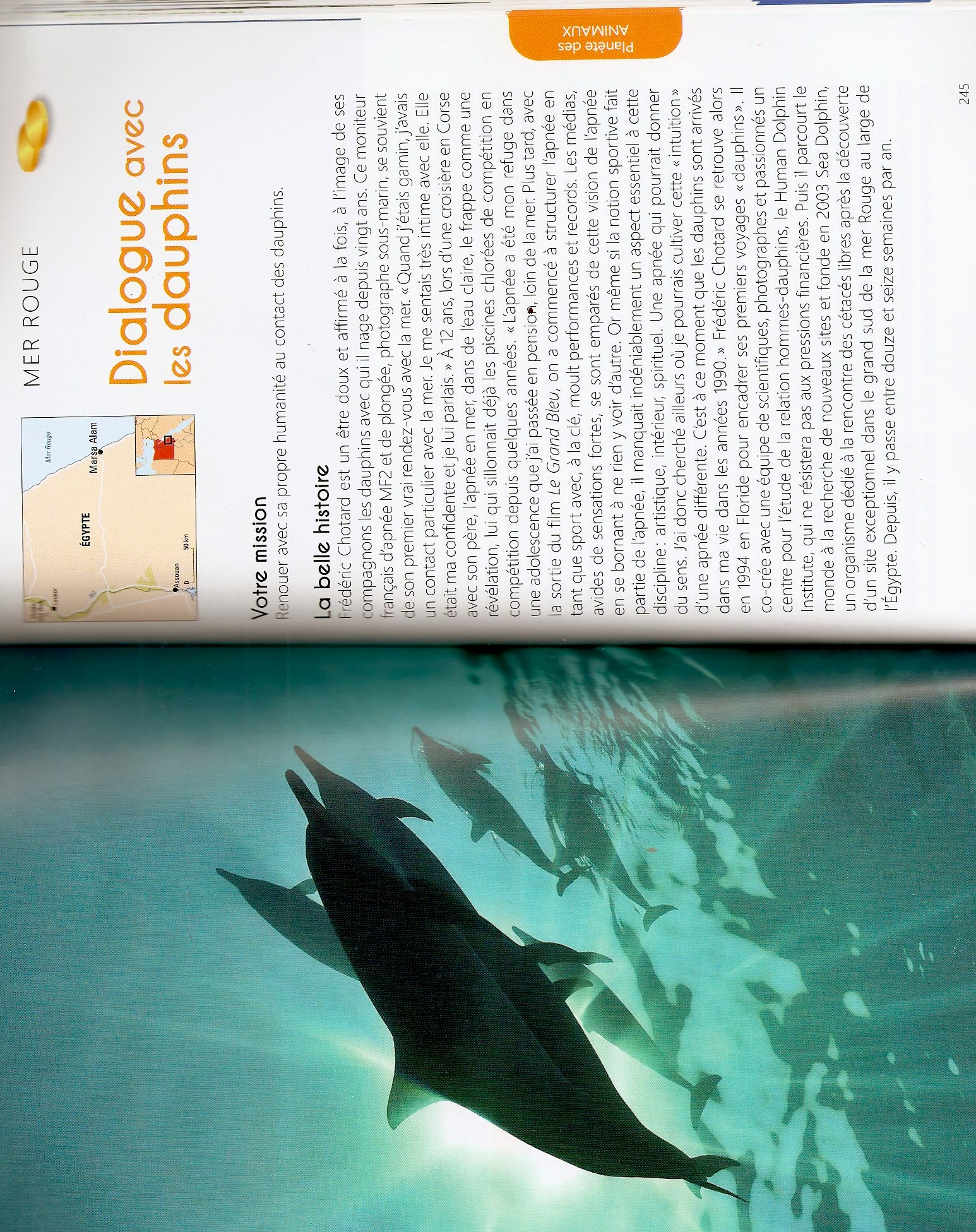 Dialogue avec les dauphins