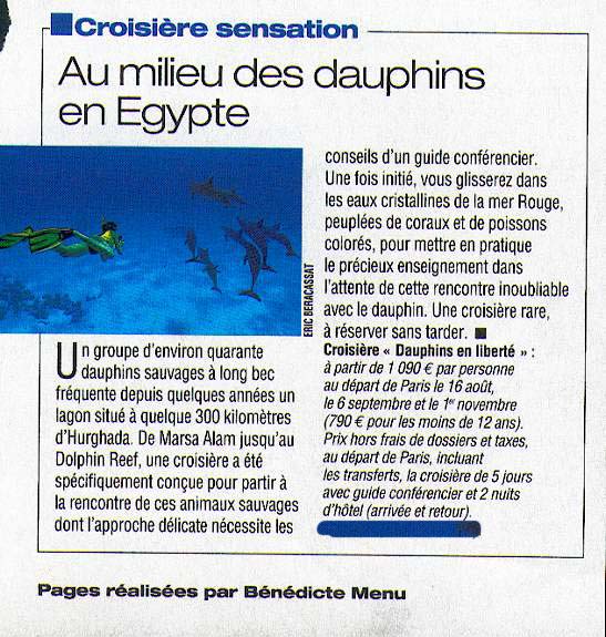 Au milieu des dauphins en Égypte