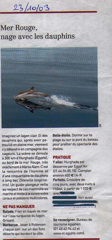 Mer Rouge, nage avec les dauphins