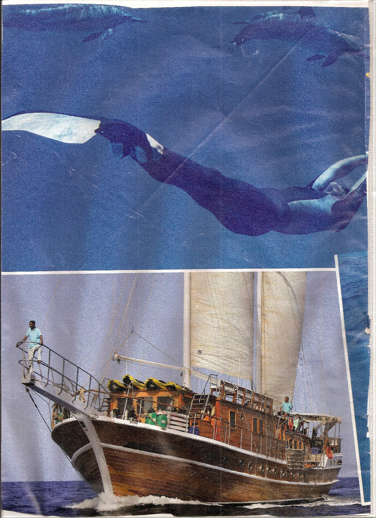 Mer Rouge, plongez en famille