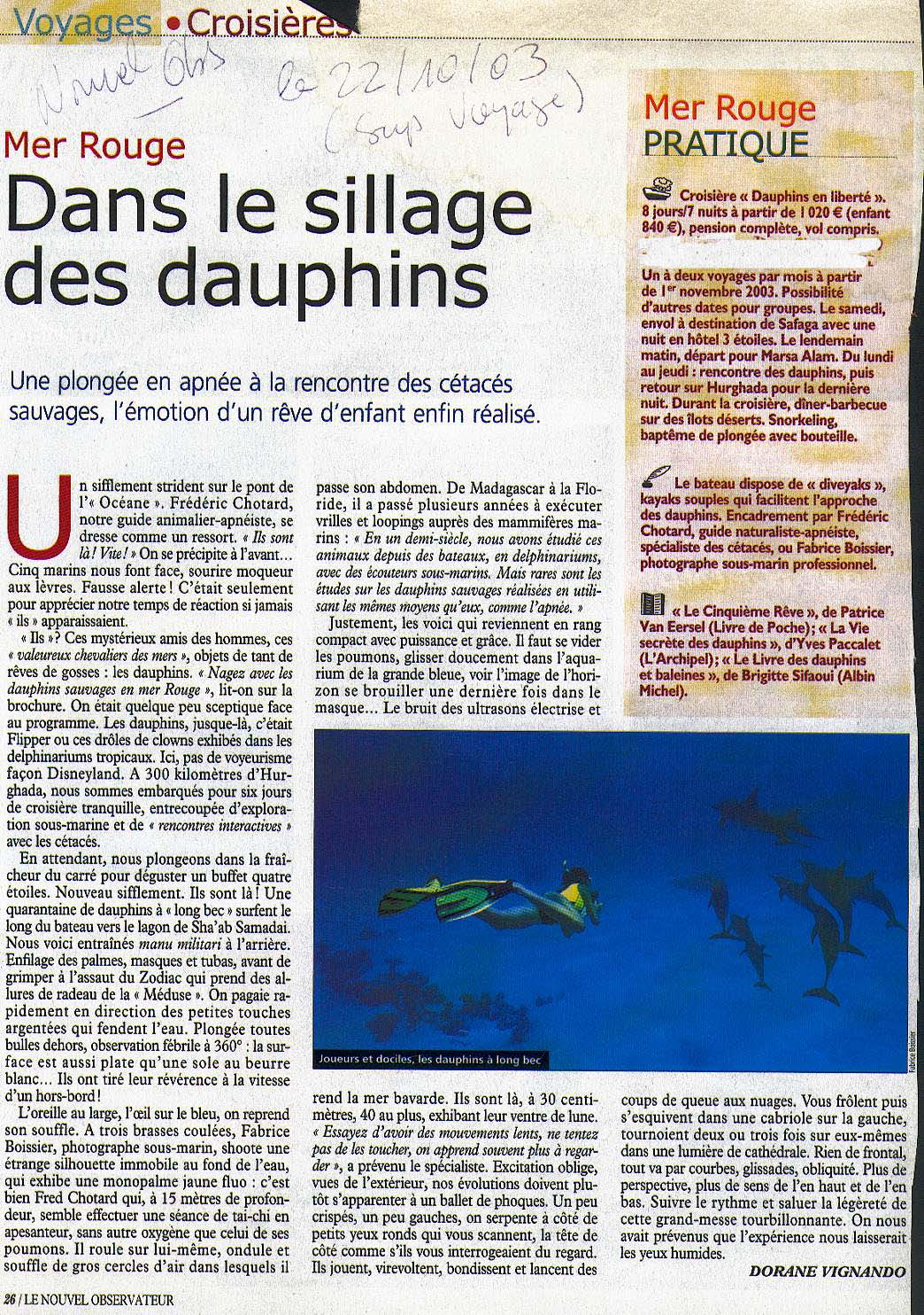 Dans le sillage des dauphins