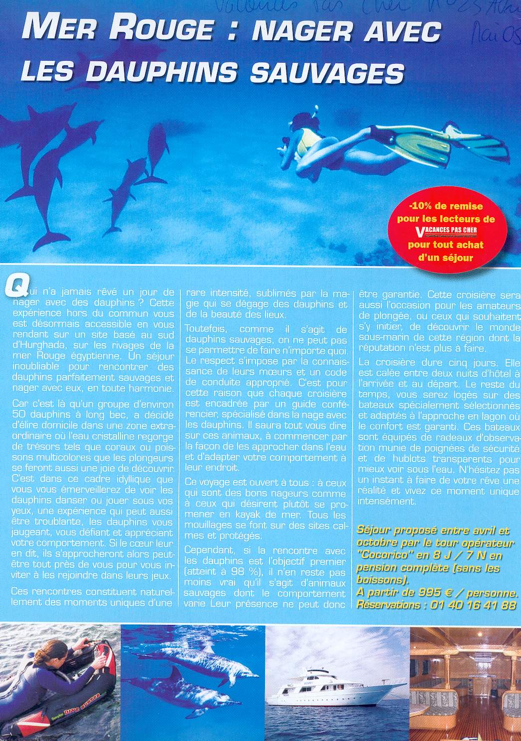 Mer Rouge : nager avec les dauphins sauvages