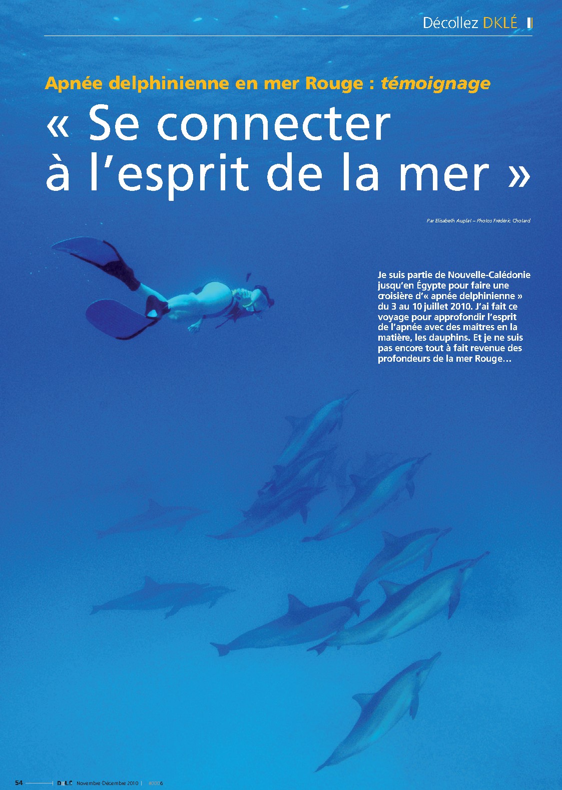 Apnée delphinienne en mer Rouge : Se connecter à l'esprit de la mer